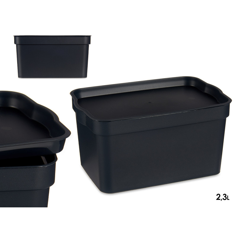 Caixa Plastica C/Tampa 2,3 Lt Antracide