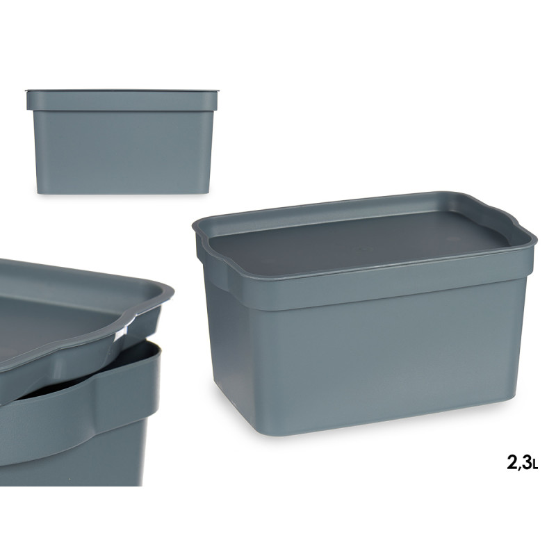 Caixa Plastica C/Tampa 2,3 Lt Cinza