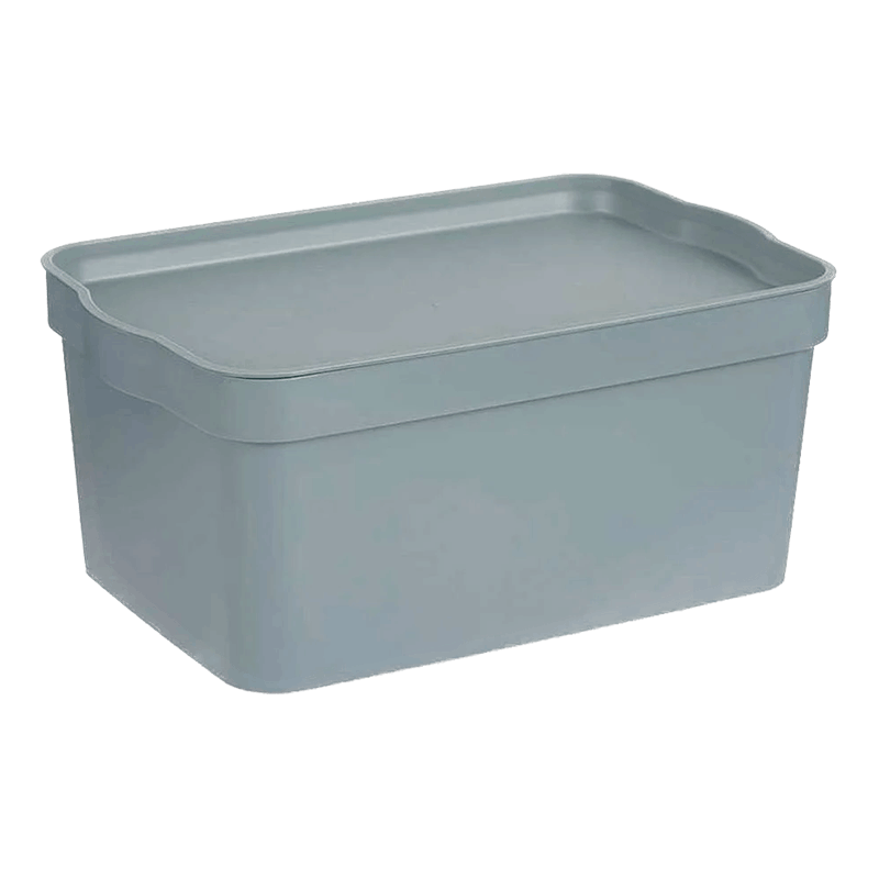 Caixa Plastica C/Tampa 6 Lt Cinza