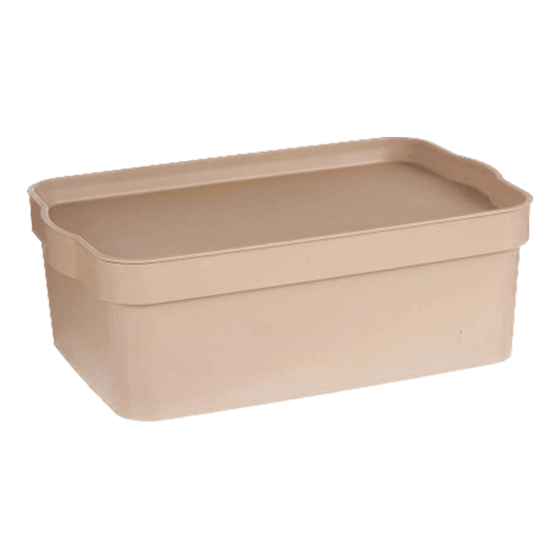 Caixa Plastica C/Tampa 6 Lt Bege