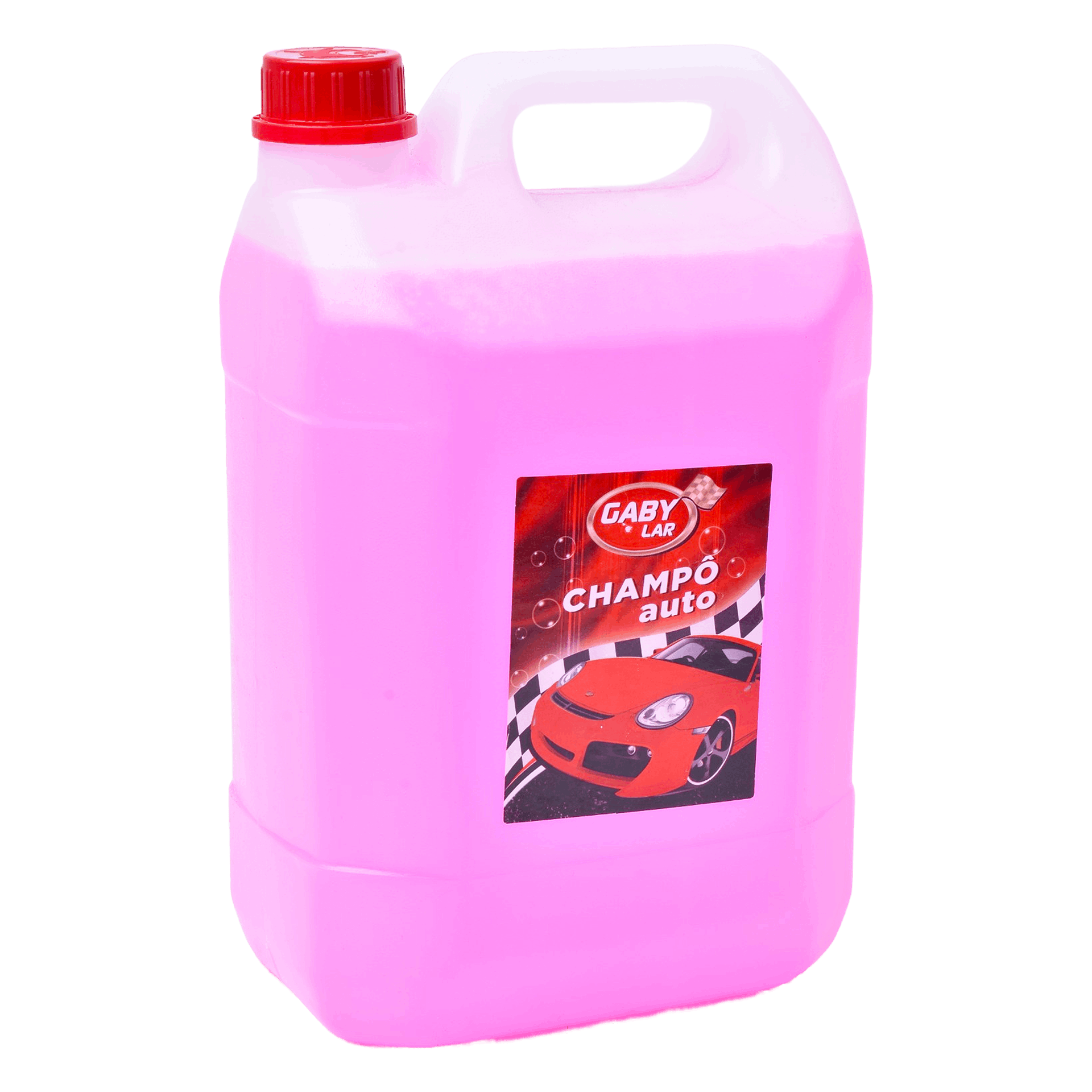 Champô Auto 5 Lt Gaby Lar